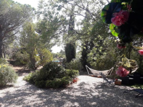 Chalet et piscine au calme